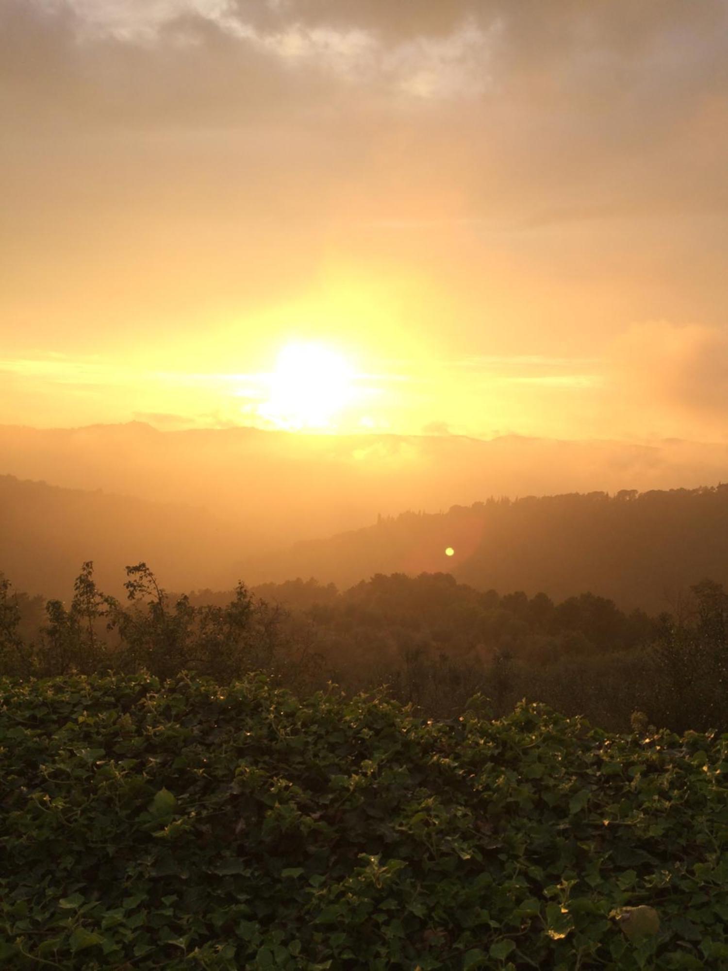 Podere Campolungo غريفي ان شنتي المظهر الخارجي الصورة