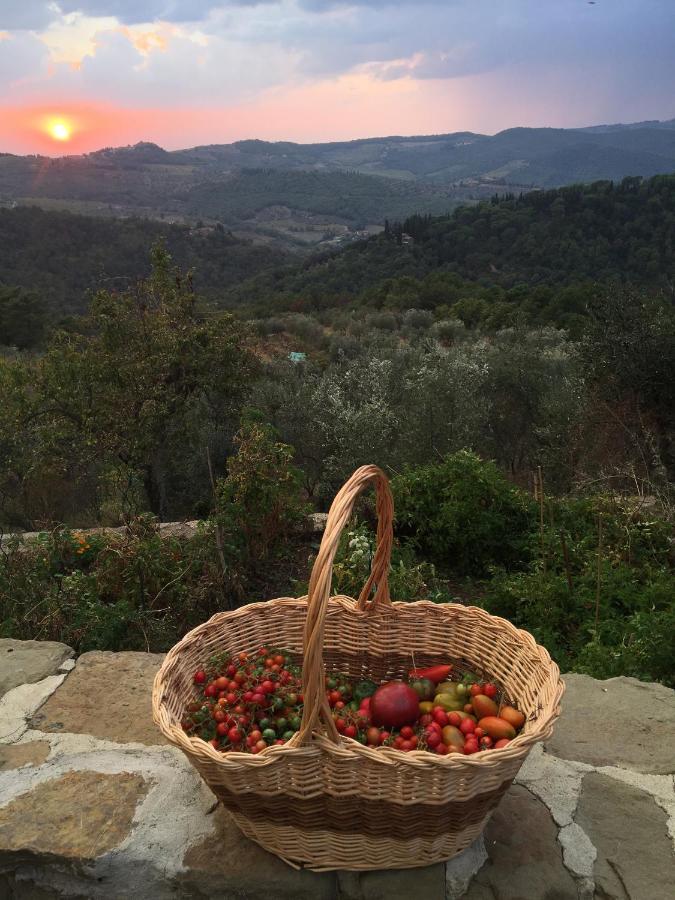 Podere Campolungo غريفي ان شنتي المظهر الخارجي الصورة