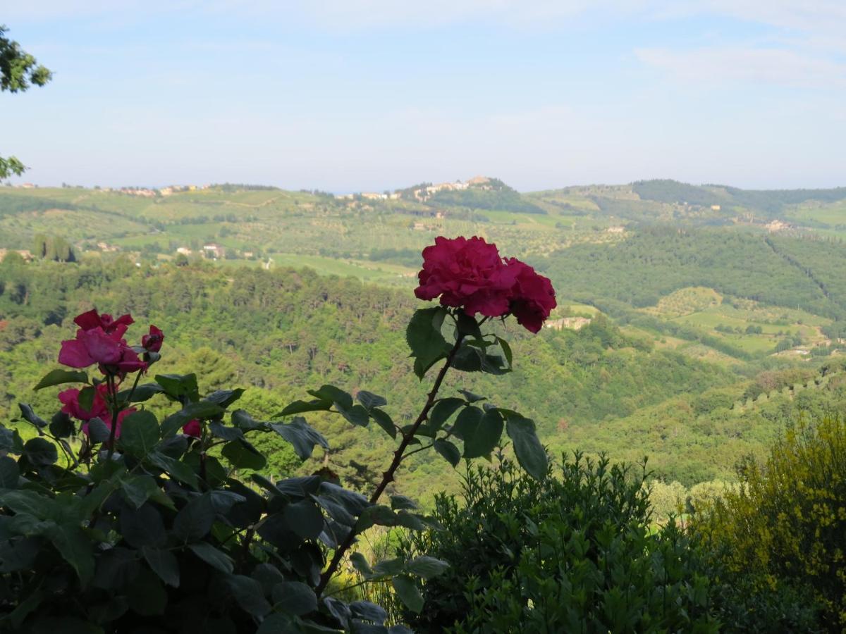 Podere Campolungo غريفي ان شنتي المظهر الخارجي الصورة